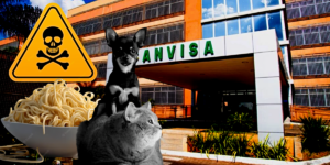 Anvisa retira às pressas macarrão de circulação após grave constatação (Foto Reprodução/Montage/Tv Foco)