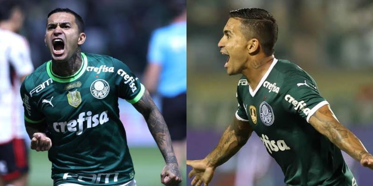 Dudu, atacante do Palmeiras (Foto - Montagem TV Foco).