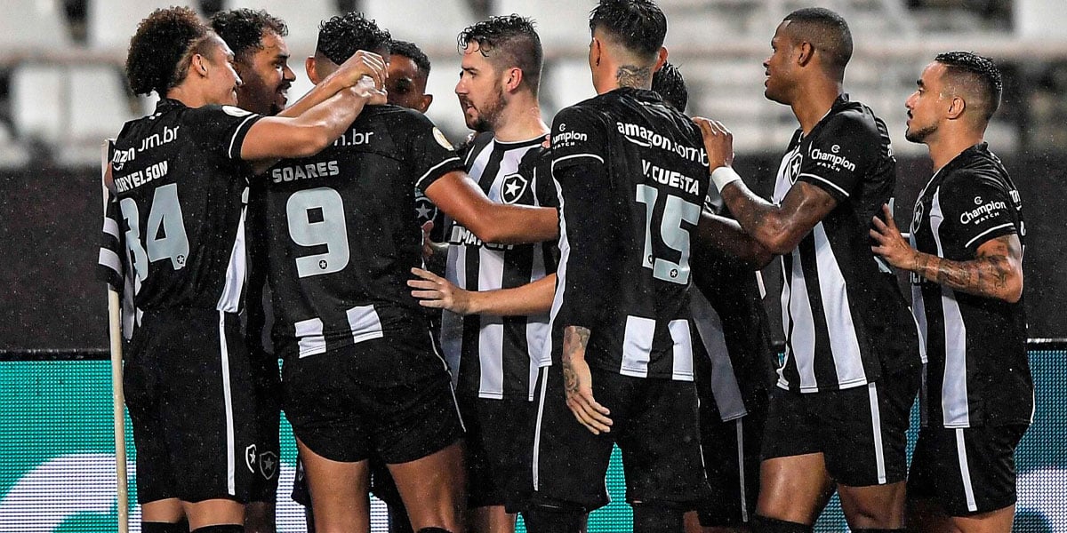Parte do elenco do Botafogo - Foto: Reprodução/Internet