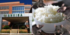 Fachada da Anvisa e arroz cheio de ratos - Foto Reprodução Internet