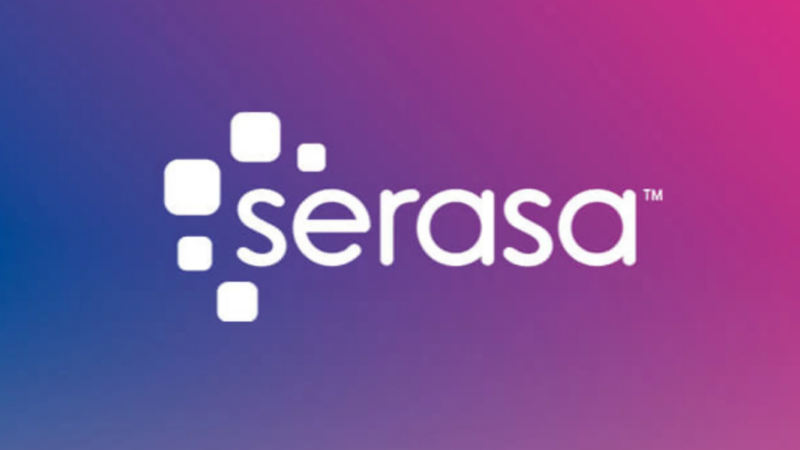 Serasa (Foto: reprodução, Site da Empresa)