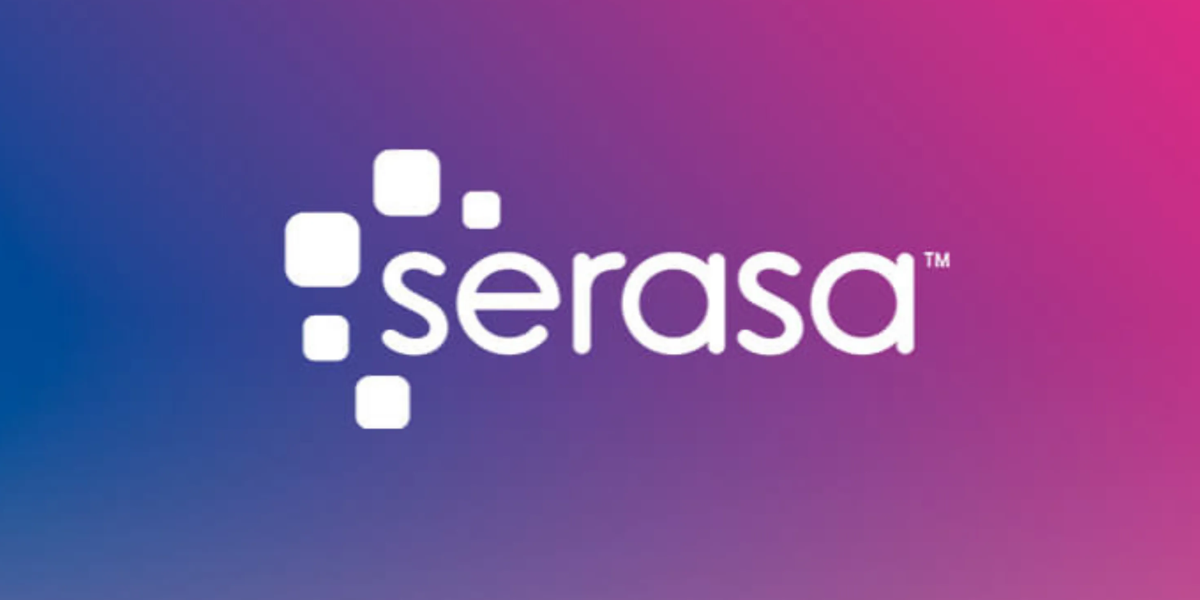 Serasa (Foto: reprodução, Site da Empresa)
