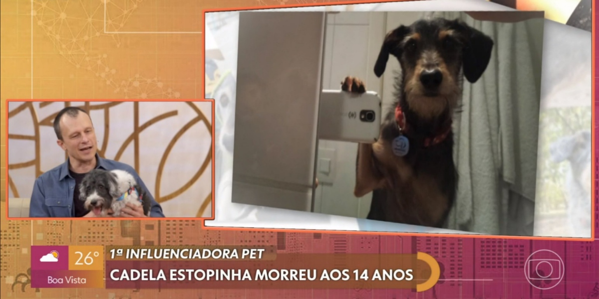 Alexandre Rossi, o Dr. Pet, descreveu os últimos momentos de Estopinha (Foto: Reprodução/TV Globo)