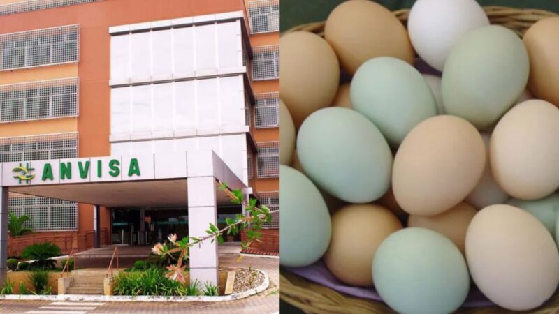 A marca de ovos arrancada dos mercados pela ANVISA - Foto: Reprodução/TV FOCO