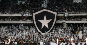 Torcida do Botafogo  (Foto: Reprodução Internet)