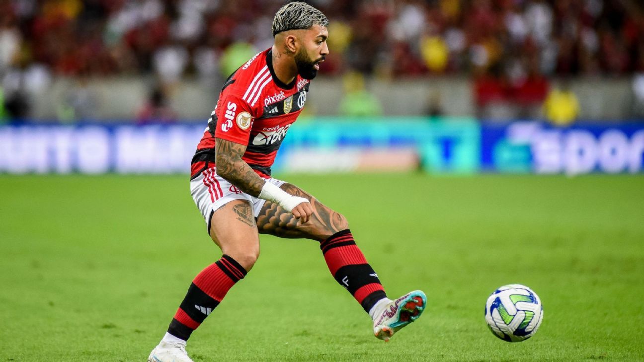 Gabigol pode ter pena máxima de partidas fora do Flamengo (Foto: Divulgação)