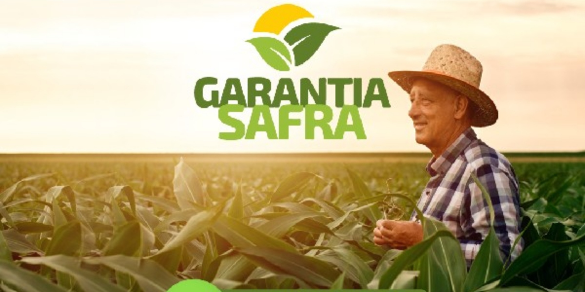 Garantia-Safra é uma ação do Governo Federal (Foto: Divulgação/Secretaria de Agricultura)