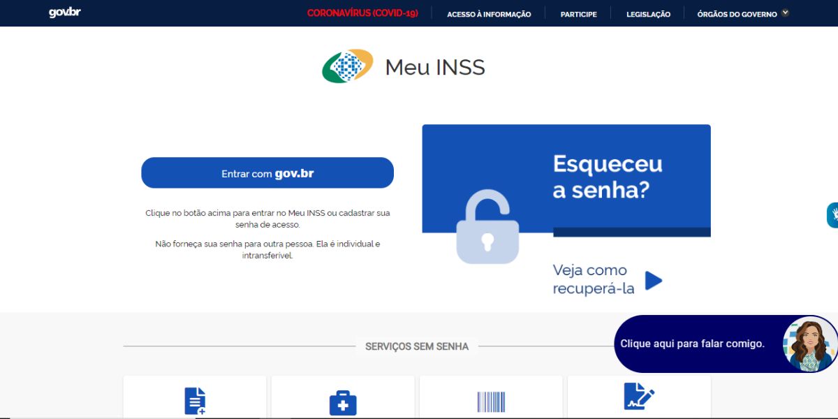 Site do governo onde poderá ser feita a solicitação (Reprodução: Internet)