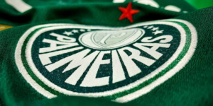 Palmeiras. Foto: Reprodução/Internet