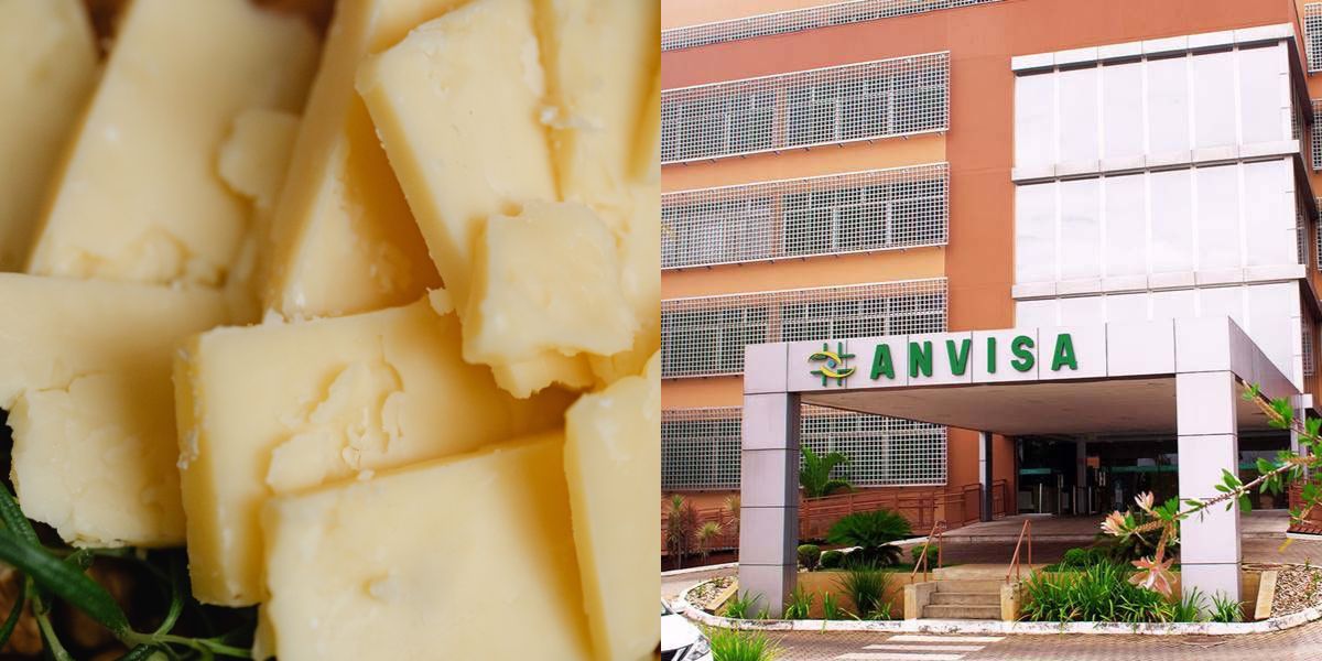 Proibição da Anvisa sobre marca de queijo (Reprodução: Montagem TV Foco)