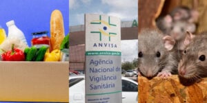 Esses alimentos foram suspensos pela Anvisa por conta de ratos (Foto: Divulgação)