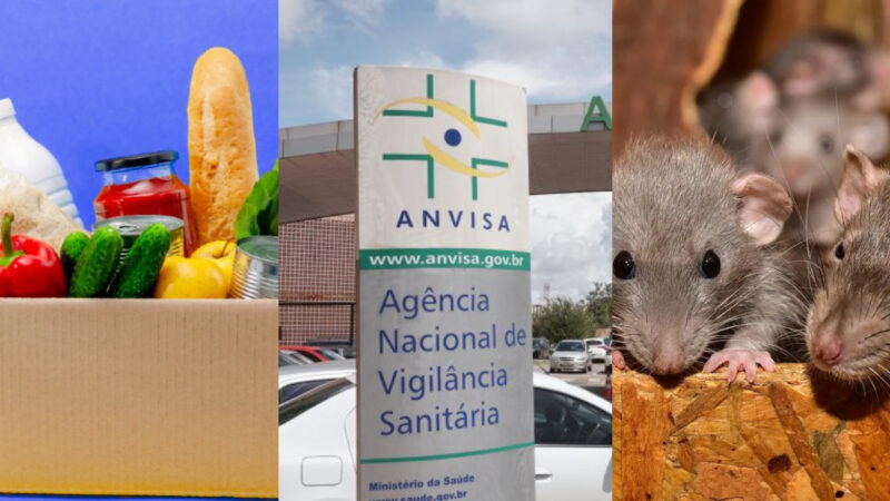 Esses alimentos foram suspensos pela Anvisa por conta de ratos (Foto: Divulgação)