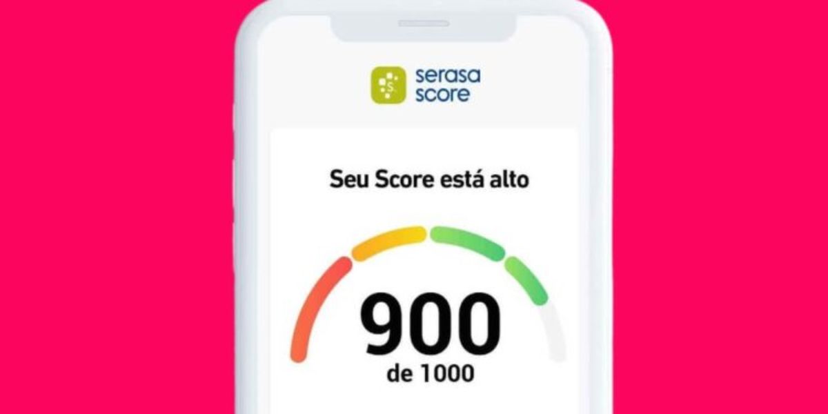 Quanto mais próximo do 1000, melhor será para conseguir limite de créditos (Reprodução: Internet)