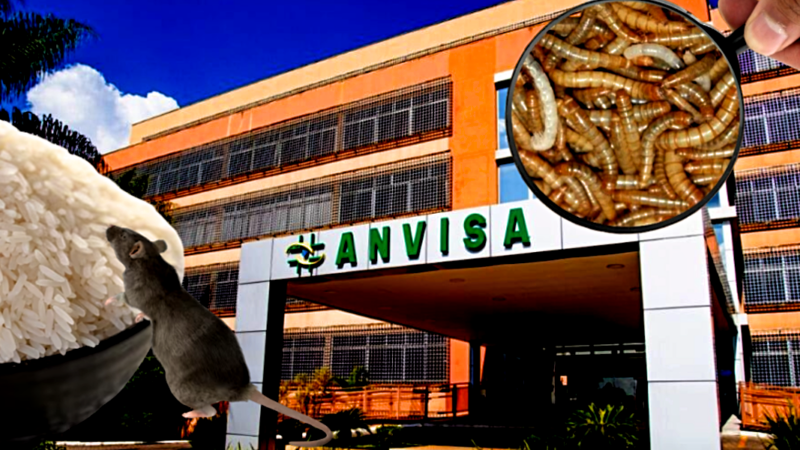 Anvisa determinou a proibição de marca de arroz após grave descoberta (Foto Reprodução/Montagem/Tv Foco)