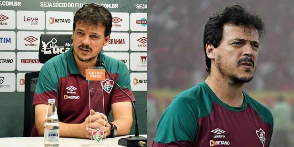 Diniz, técnico do Fluminense (Foto - Montagem TV Foco)