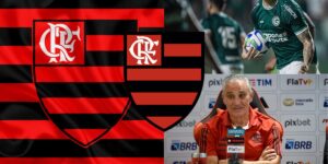 Flamengo - (Montagem Tv Foco)