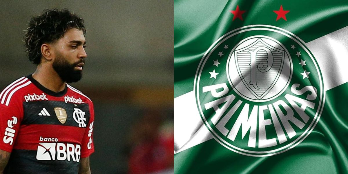 Gabigol / Bandeira do Palmeiras - Montagem: TVFOCO