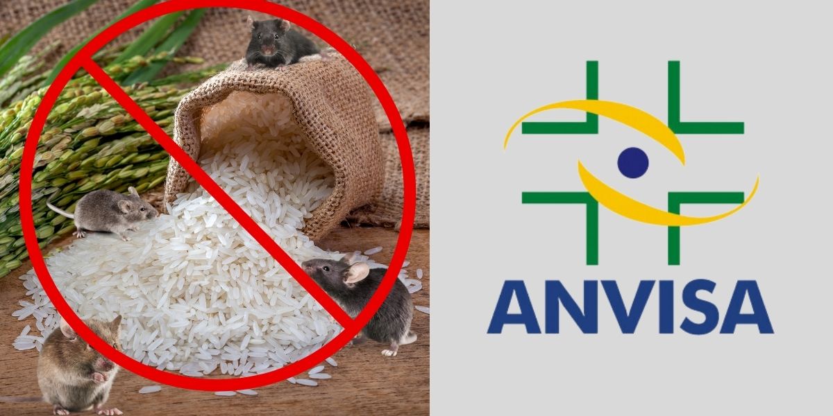 Logo da Anvisa e arroz proibido cheio de ratos - Foto Reprodução Internet