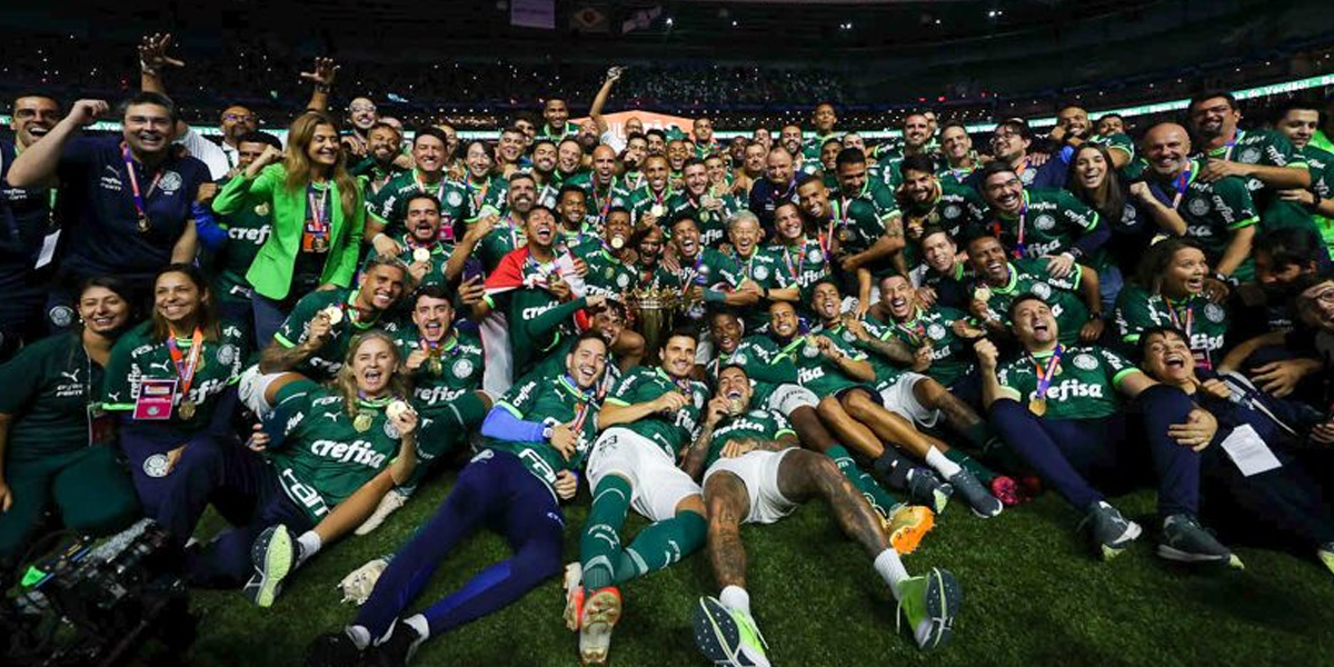 Time e coordenação do Palmeiras (Foto: Reprodução, Portal do Palmeirense)