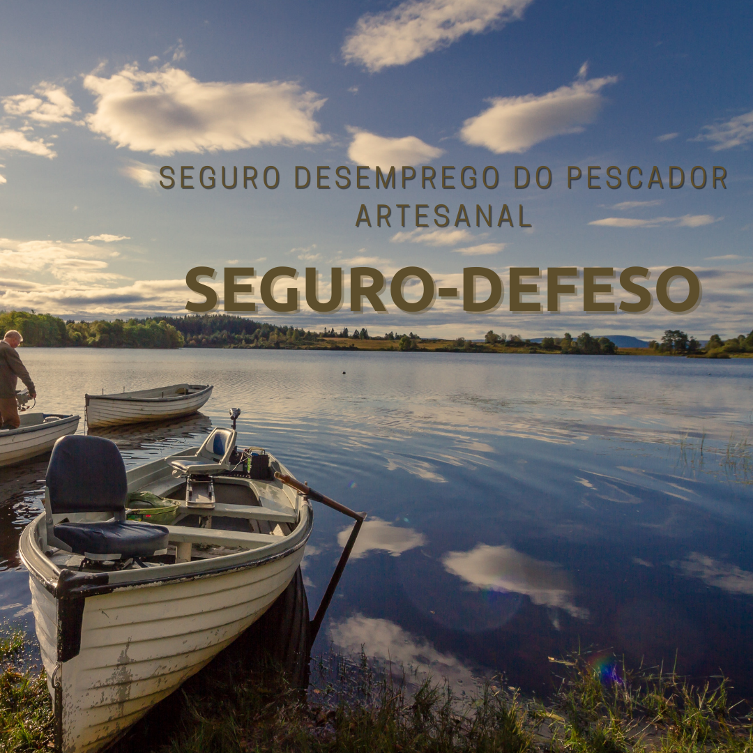 Seguro Defeso (Reprodução/JusBrasil)