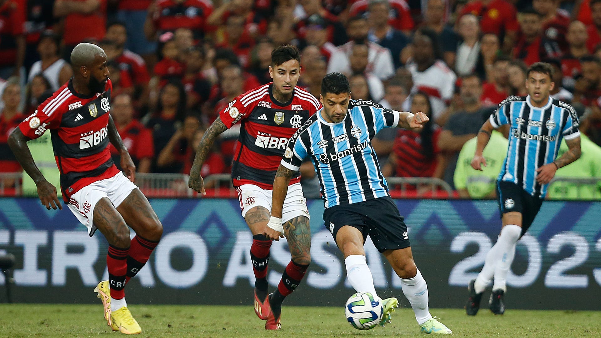 Flamengo foi derrotado pelo Grêmio (Foto: Divulgação)