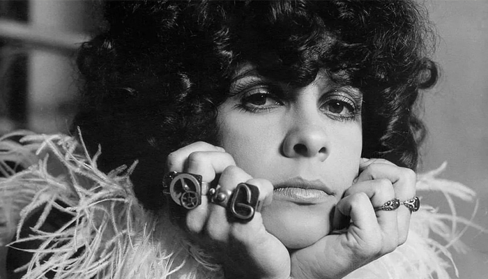 Gal Costa (Reprodução/Internet)