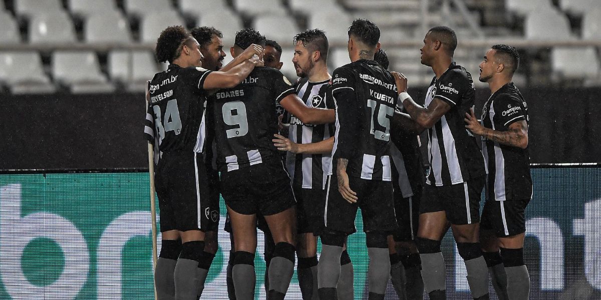 Time do Botafogo - (Foto: Internet)