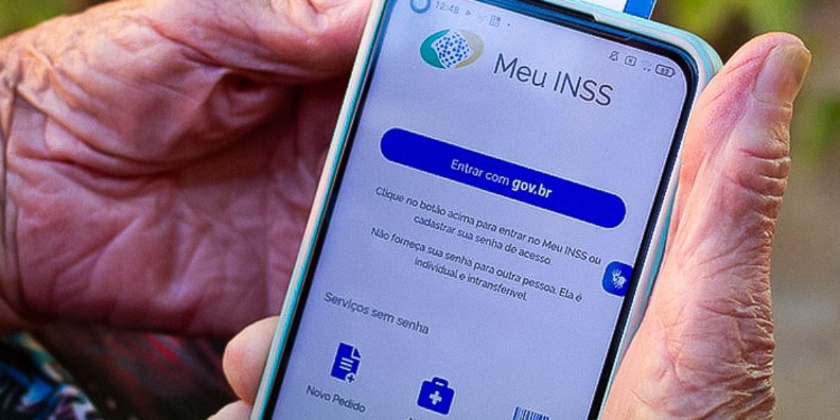 Meu INSS App (Reprodução/Internet)