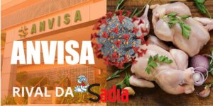 Bactéria mortal e decreto da Anvisa contra marca de frango rival da Sadia (Foto: Reprodução / Internet / Montagem TV Foco)