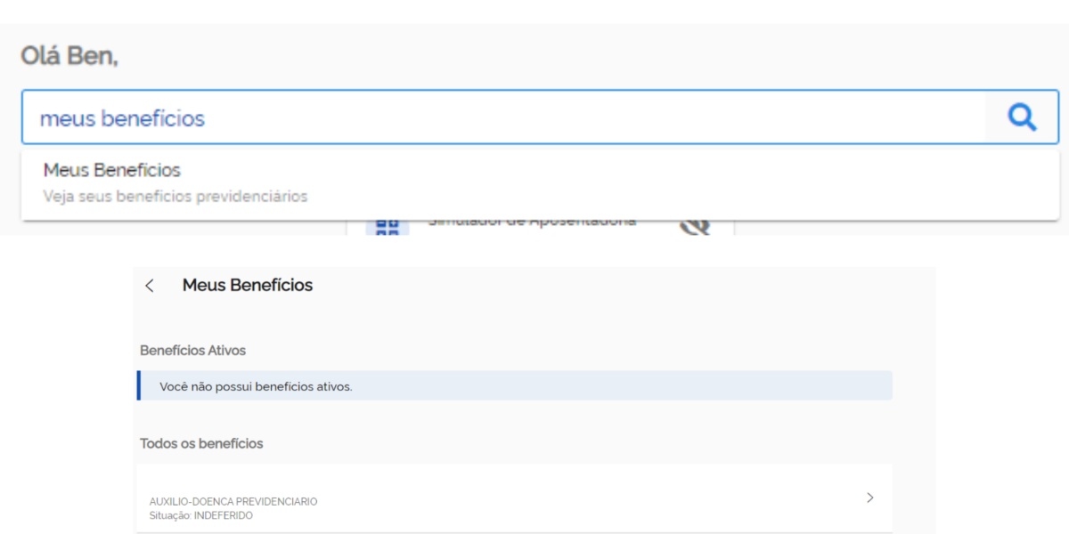 Consulte situação de benefício (Foto: Reprodução/Meu INSS)