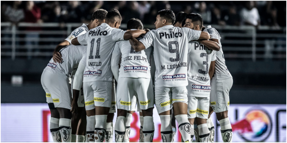 Elenco do Santos vai ficar fora da Copa do Brasil (Foto: Divulgação)