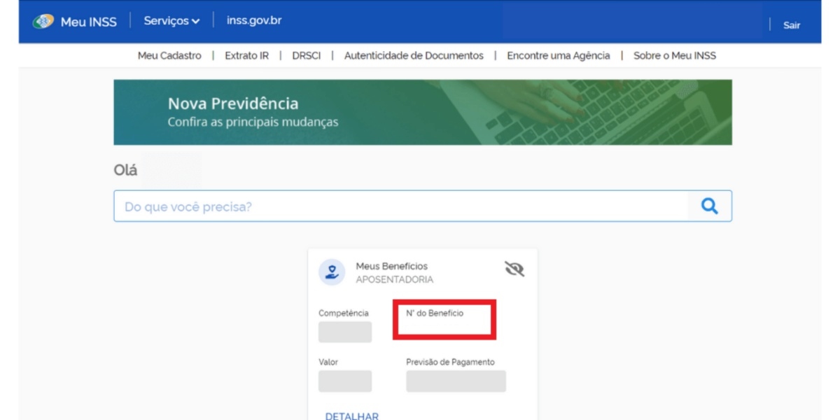 É possível consultar benefício INSS pelo CPF no site (Foto: Reprodução/meu.inss.gov.br)