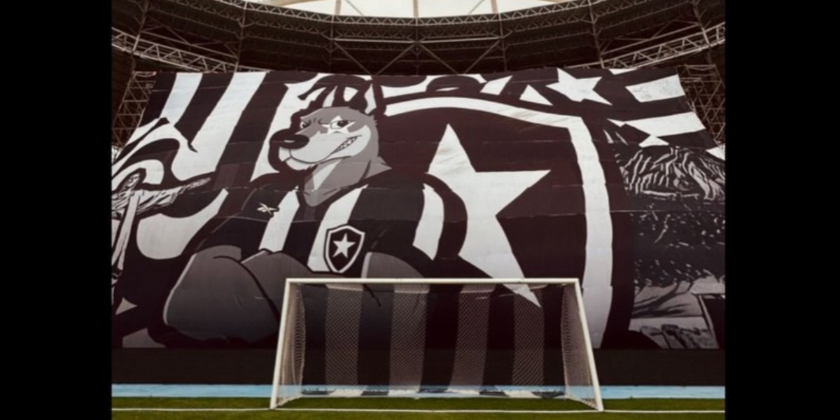 Botafogo recebe grande apoio da torcida em jogo contra o Goiás - (Foto: Reprodução / Internet)