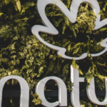 Natura (Reprodução/Internet)