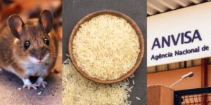 ANVISA: As duas marcas de arroz suspensas nos mercados e o decreto HOJE - Montagem TVFOCO