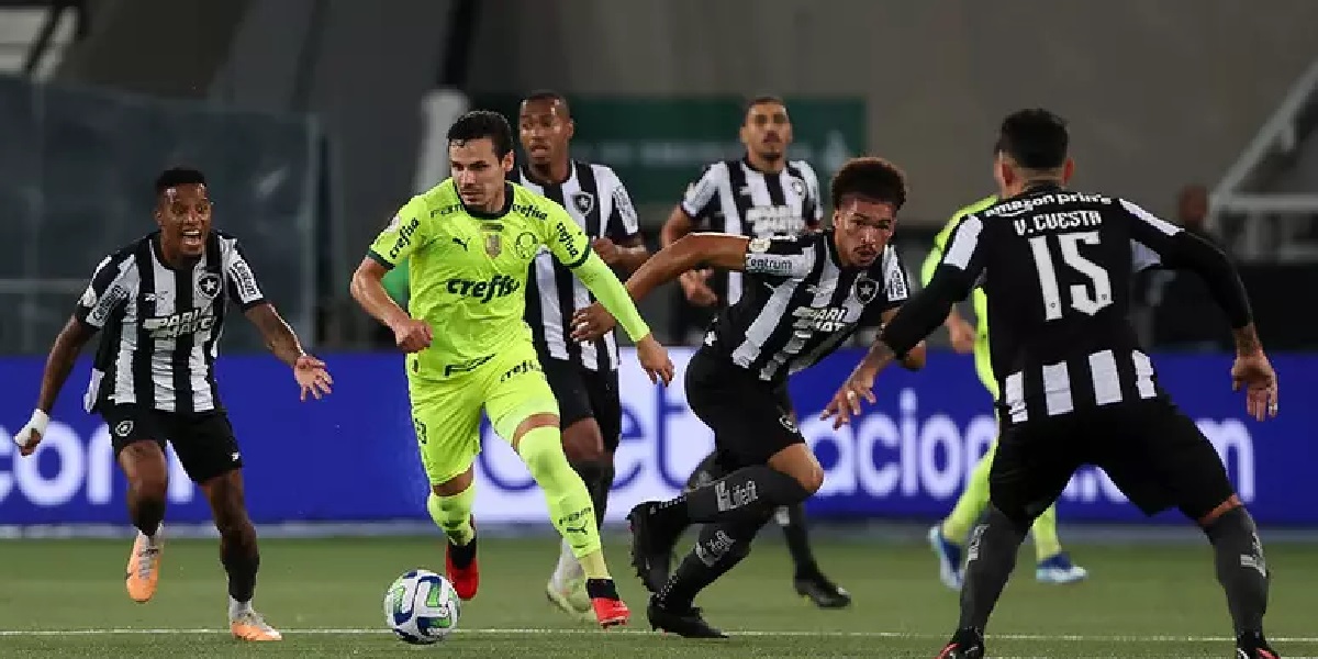 Palmeiras contra Botafogo (Foto: Reprodução/ Internet)