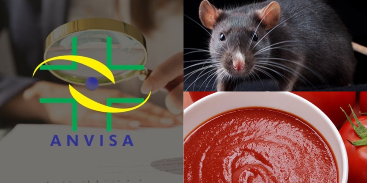 Anvisa proíbe marcas de molhos de tomate contaminadas com pelos de rato (Foto: Reprodução/Internet)