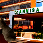 Marca de farinha acabou sendo alvo da Anvisa após denúncia (Foto Reprodução/Montagem/Tv Foco)