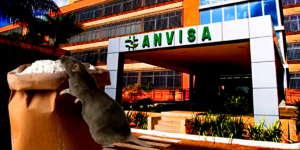 Marca de farinha acabou sendo alvo da Anvisa após denúncia (Foto Reprodução/Montagem/Tv Foco)