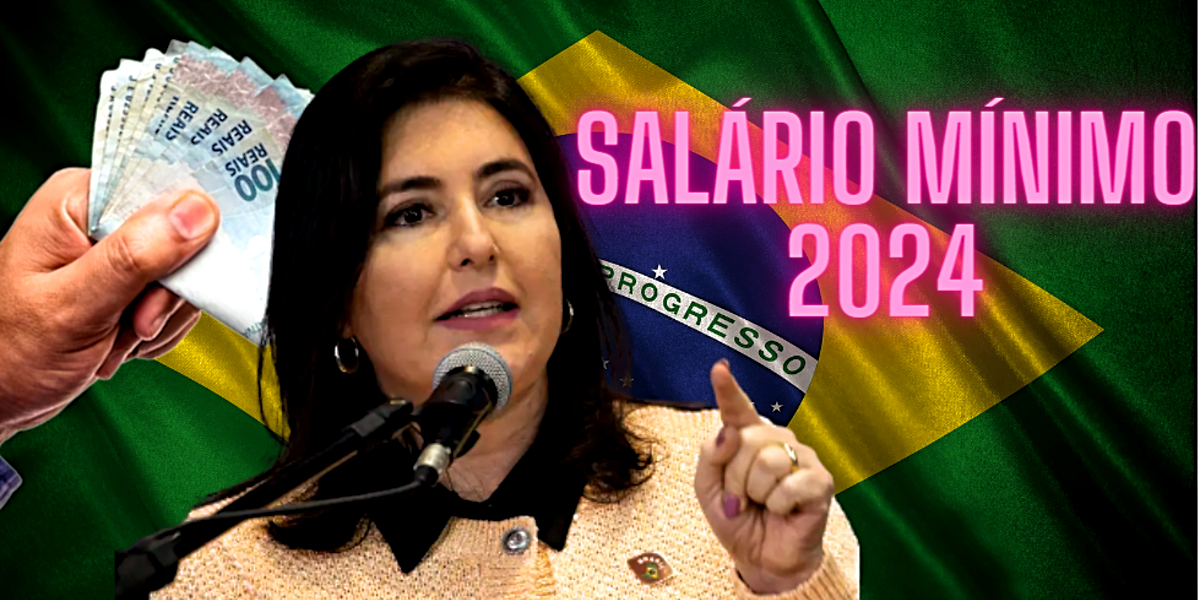 O Novo Valor Do Salario Mínimo Para 2024 Anunciado Por Tebet