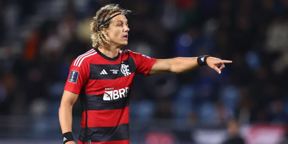 David Luiz, craque do Flamengo (Foto: Divulgação)