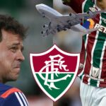 Diniz, Nino, avião e Fluminense - (Reprodução: Internet)