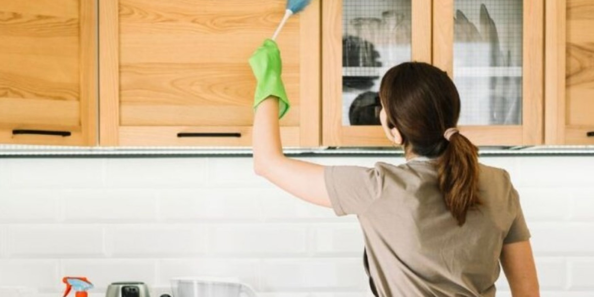 Mulher dona de casa limpado a cozinha (Foto: Reprodução, Clarin.com)