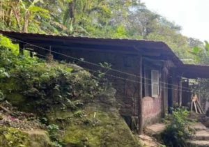 Pai mata o filho com golpes de machado após discussão em São Sebastião - Foto Policia Civil