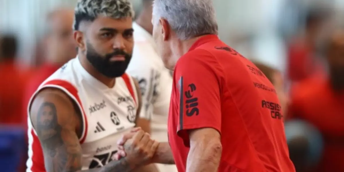 Tite e Gabigol (Foto: Reprodução, Fla TV)