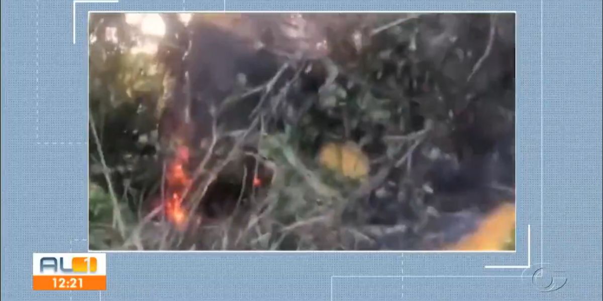 O avião explodiu ao bater em uma área rural (Reprodução: Globo)