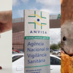 Anvisa barra marca de ketchup amada devido a ratos (Foto: Divulgação)