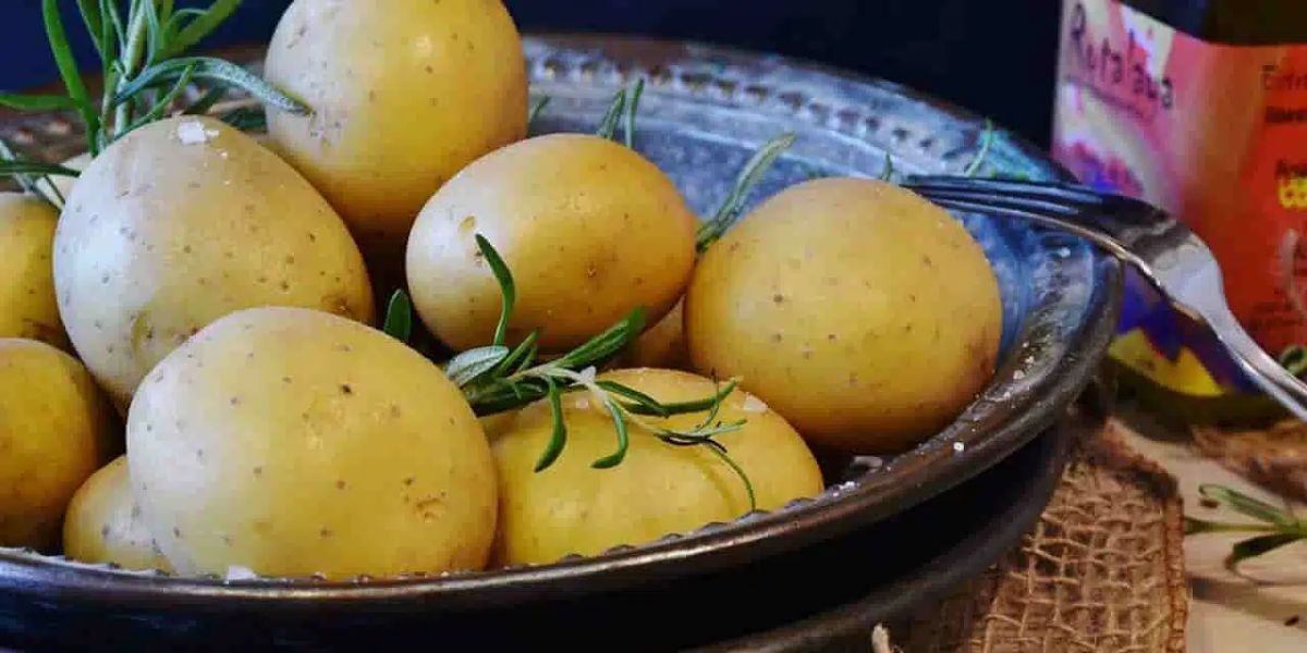 Veja como armazenar batatas de maneira segura (Foto: Internet)