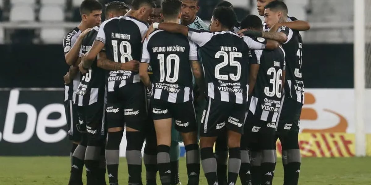 Elenco do Botafogo (Foto - Reprodução Internet).