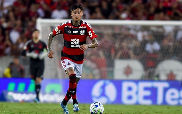 Erick Pulgar está se destacando no Flamengo (Foto: Divulgação)